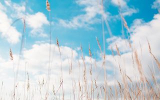 Content Marketing for Sustainable Brands - featured image