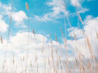 Sustainability content marketing: why it makes sense