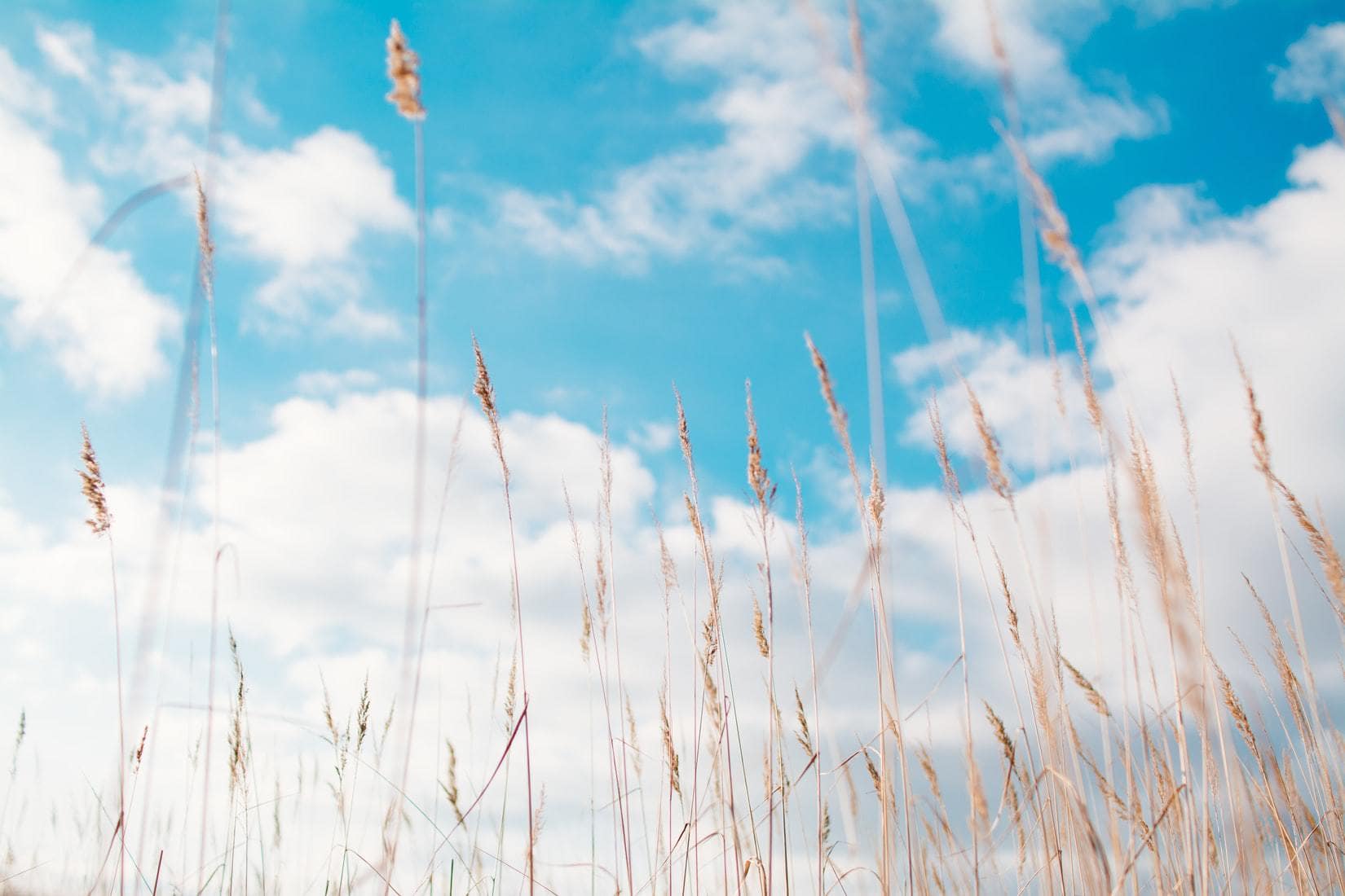 Content Marketing for Sustainable Brands - featured image