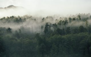 Greenwashing in marketing and how to spot it - featured image