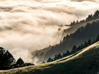 What is greenhushing & why are brands doing it?