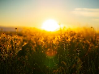 Sustainability News Round-up: March 2023
