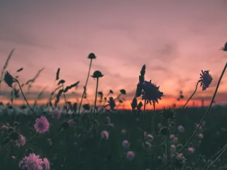 The Best Sustainability Marketing Agencies for 2025